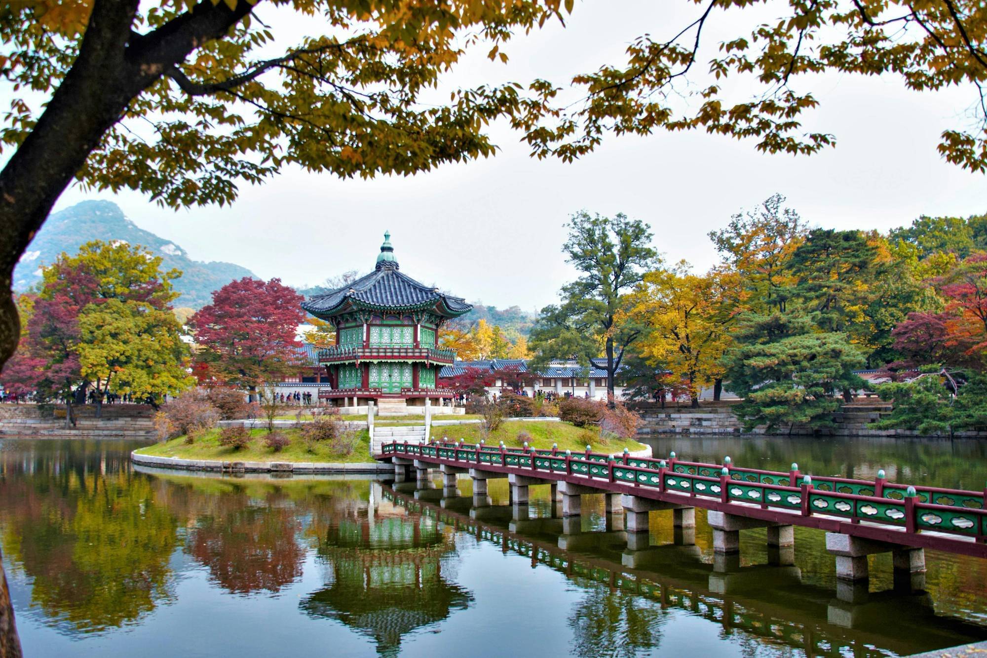 GVSU in South Korea